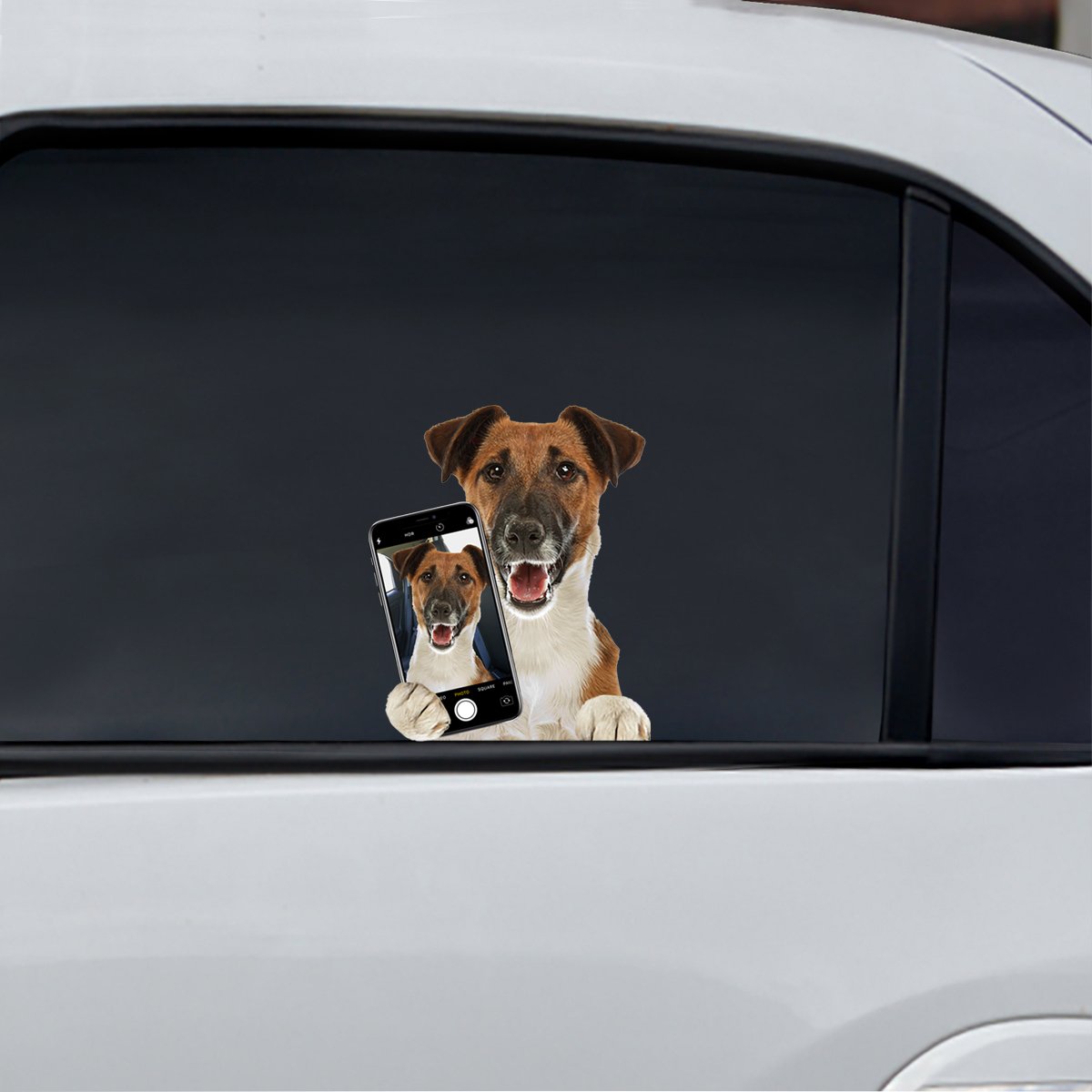Do You Like My Selfie - Smooth Fox Terrier Car/ Door/ Fridge/ Laptop Sticker V1