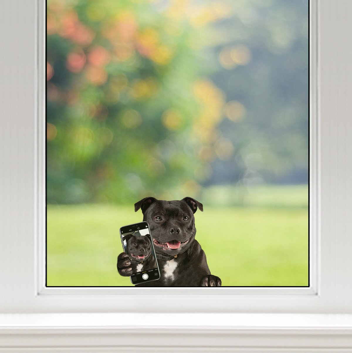 Do You Like My Selfie - Staffordshire Bull Terrier Car/ Door/ Fridge/ Laptop Sticker V1