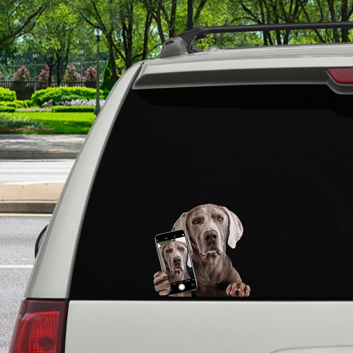Do You Like My Selfie - Weimaraner Car/ Door/ Fridge/ Laptop Sticker V1