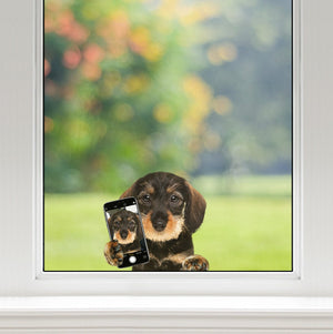 Do You Like My Selfie - Wire Haired Dachshund Car/ Door/ Fridge/ Laptop Sticker V1
