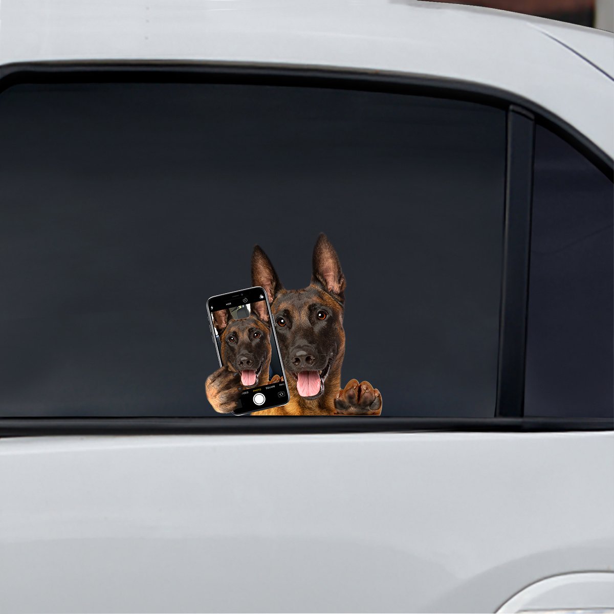 Do You Like My Selfie - Belgian Malinois Car/ Door/ Fridge/ Laptop Sticker V1