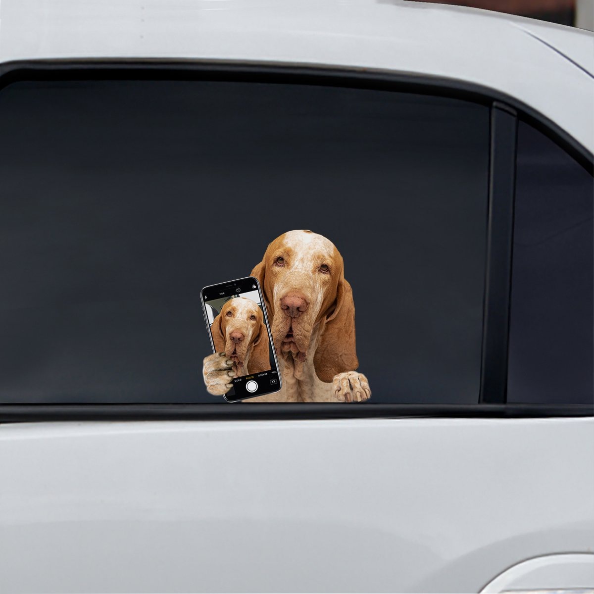 Do You Like My Selfie - Bracco Italiano Car/ Door/ Fridge/ Laptop Sticker V1