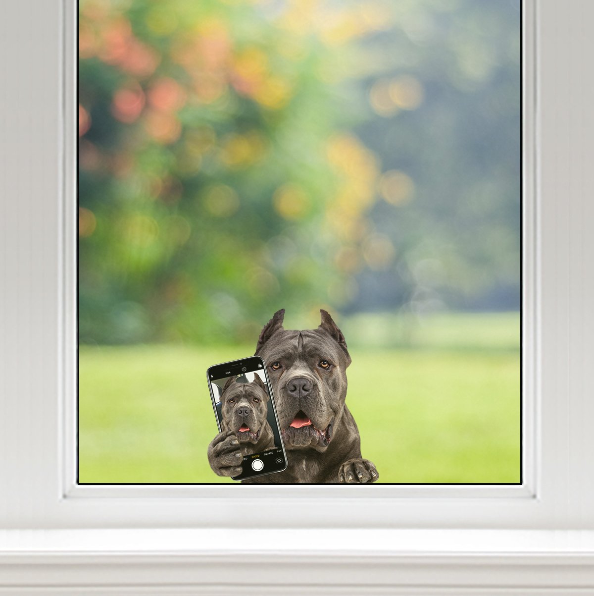 Do You Like My Selfie - Cane Corso Car/ Door/ Fridge/ Laptop Sticker V1