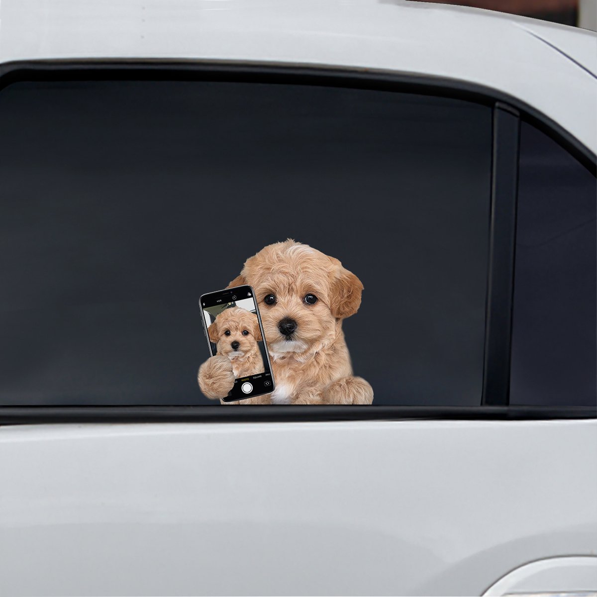 Do You Like My Selfie - Maltipoo Car/ Door/ Fridge/ Laptop Sticker V1