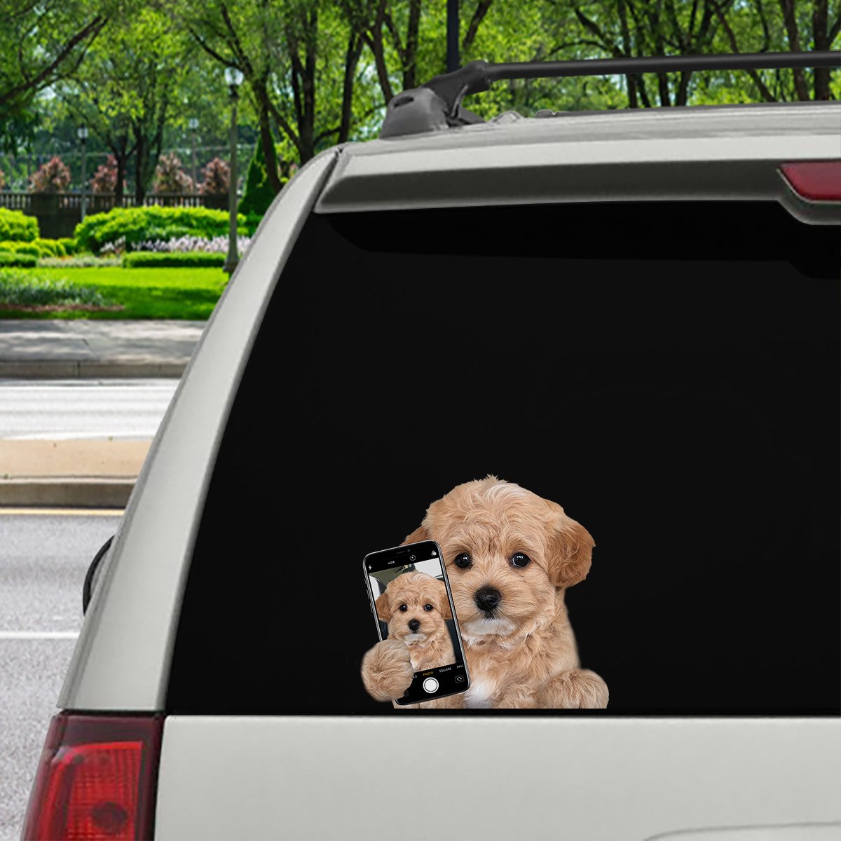 Do You Like My Selfie - Maltipoo Car/ Door/ Fridge/ Laptop Sticker V1