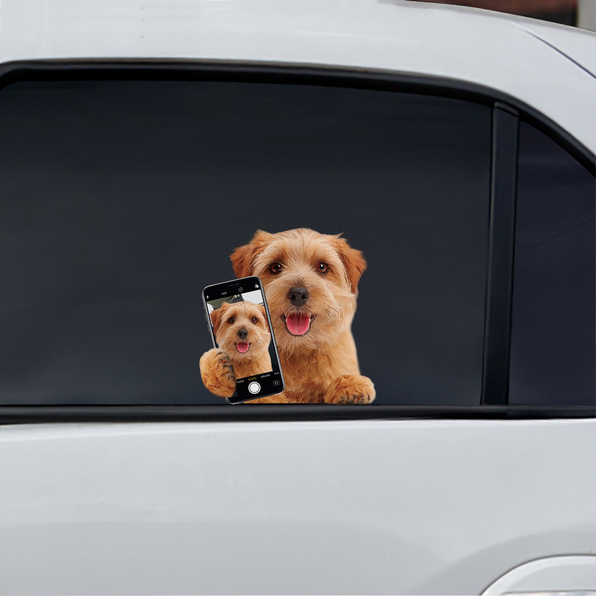 Do You Like My Selfie - Norwich Terrier Car/ Door/ Fridge/ Laptop Sticker V1