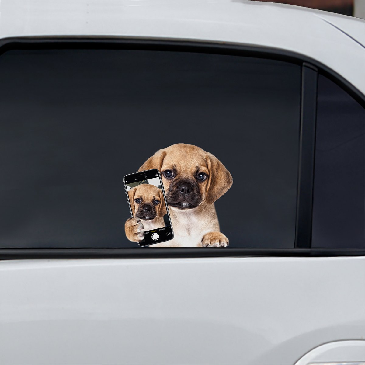 Do You Like My Selfie - Puggle Car/ Door/ Fridge/ Laptop Sticker V1