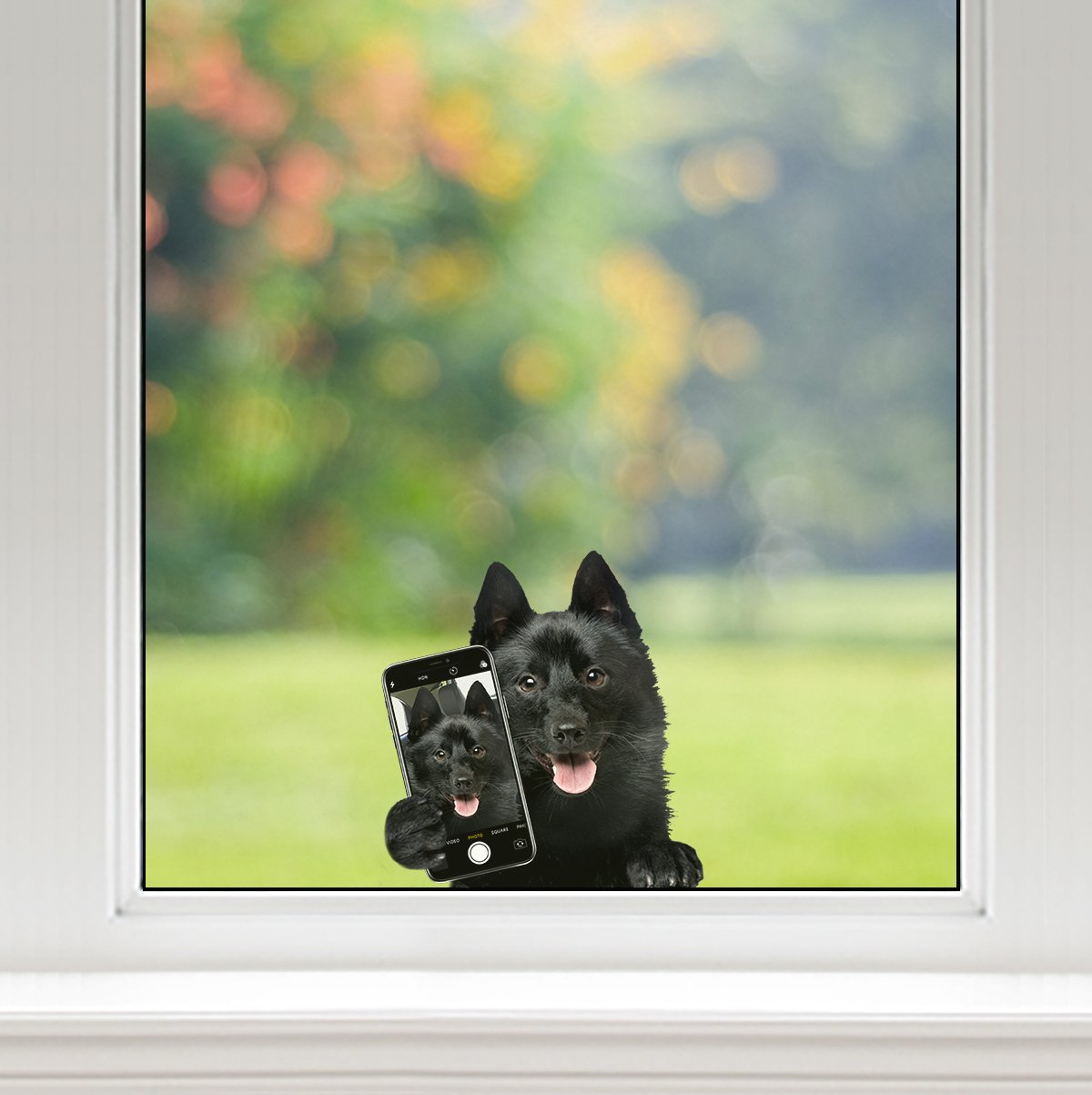 Do You Like My Selfie - Schipperke Car/ Door/ Fridge/ Laptop Sticker V1