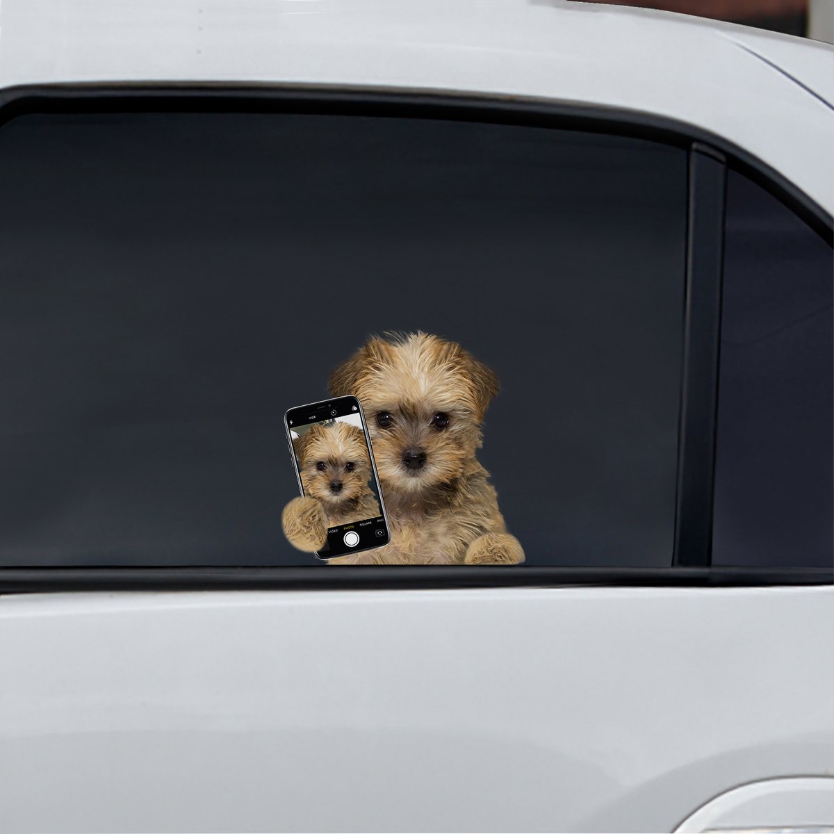 Do You Like My Selfie - Schnoodle Car/ Door/ Fridge/ Laptop Sticker V1