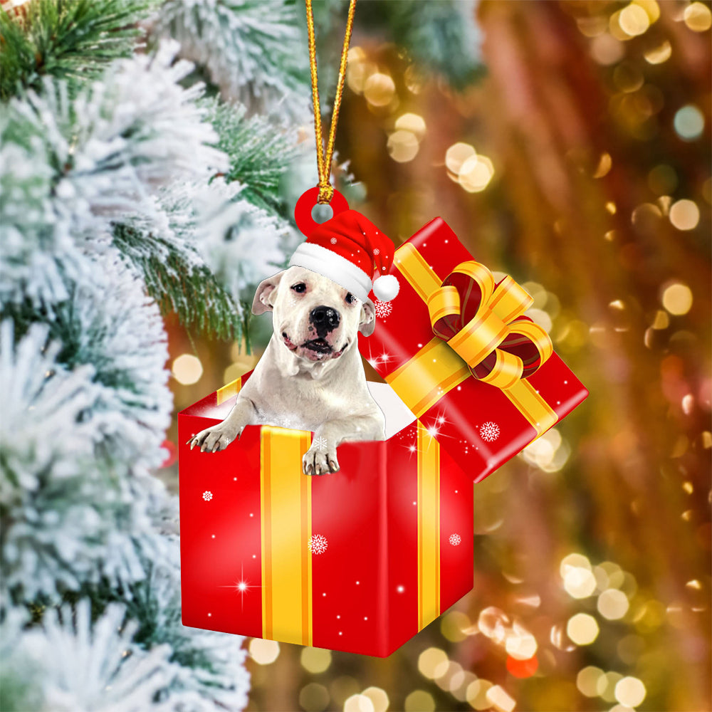 Dogo Argentino06 In Red Gift Box Christmas Ornament