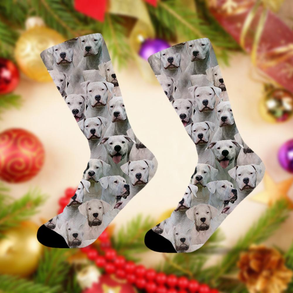 A Bunch Of Dogo Argentinos Socks
