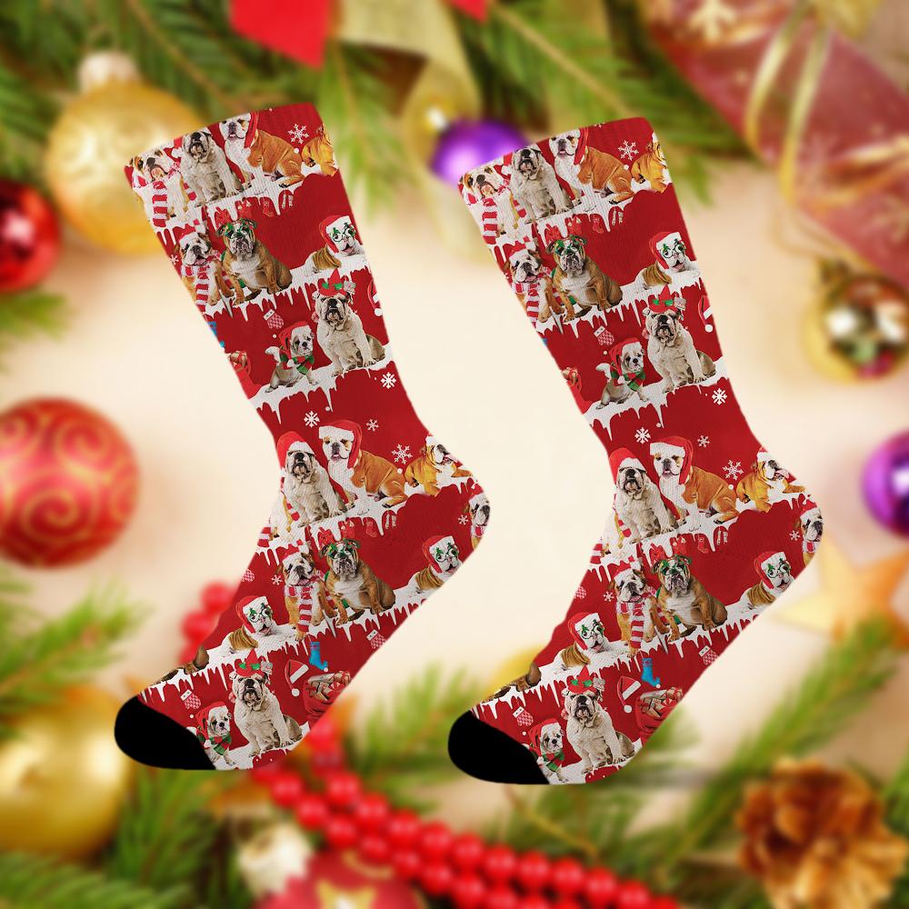 English Bulldog Merry Christmas Socks