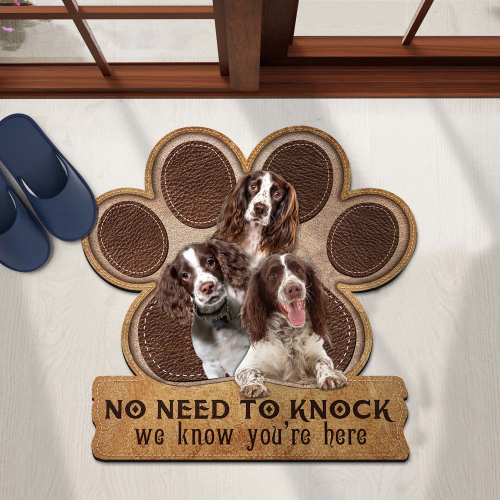 English Springer Spaniel1 No Need To Knock We Know You're Here Custom Doormat