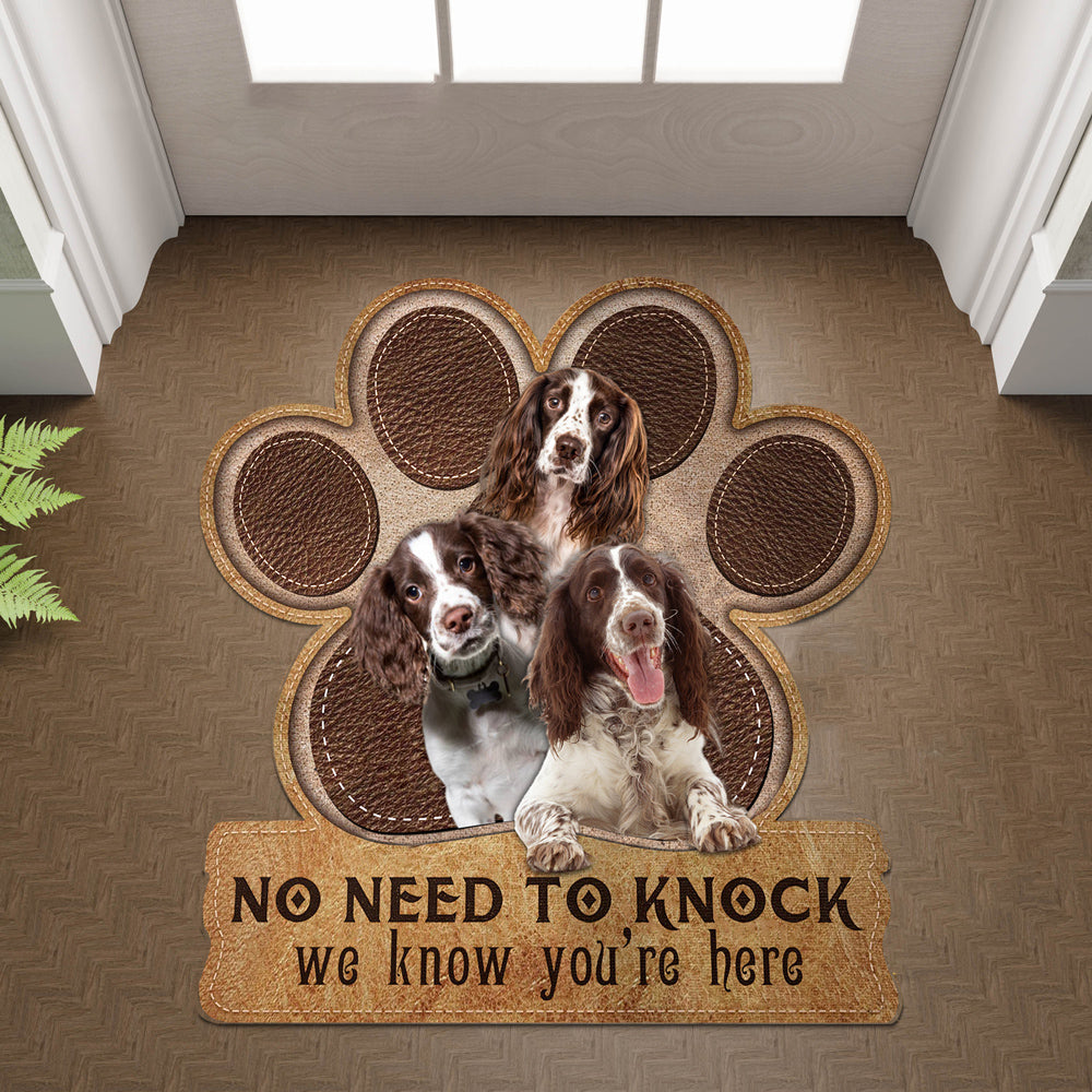 English Springer Spaniel1 No Need To Knock We Know You're Here Custom Doormat