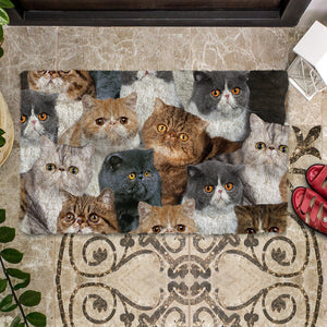 A Bunch Of Exotic Cats Doormat