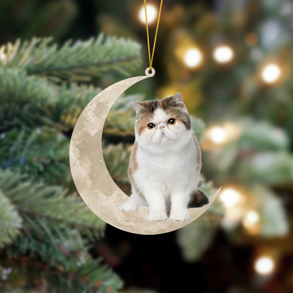 Exotic Shorthair Cat Sits On The Moon Hanging Ornament