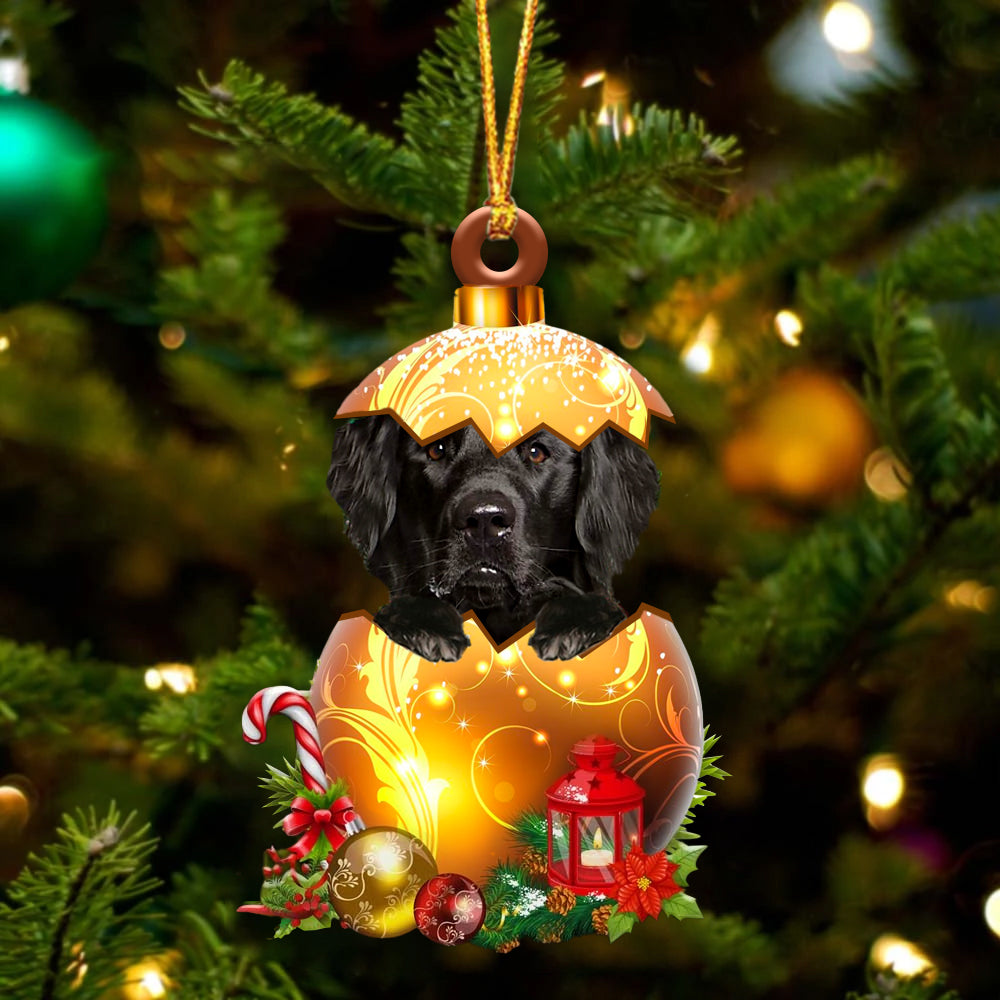 Flat Coated Retriever In Golden Egg Christmas Ornament