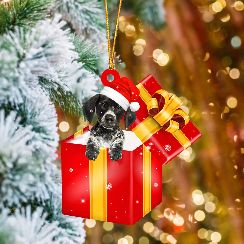 German Shorthaired Pointer03 In Red Gift Box Christmas Ornament