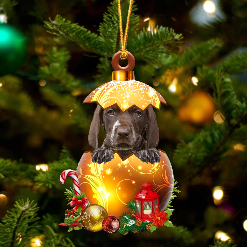 German Shorthaired Pointer In Golden Egg Christmas Ornament