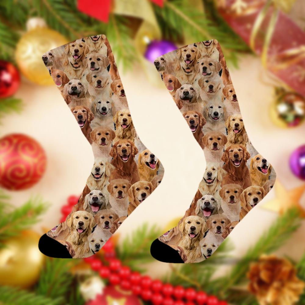 A Bunch Of Golden Retrievers Socks