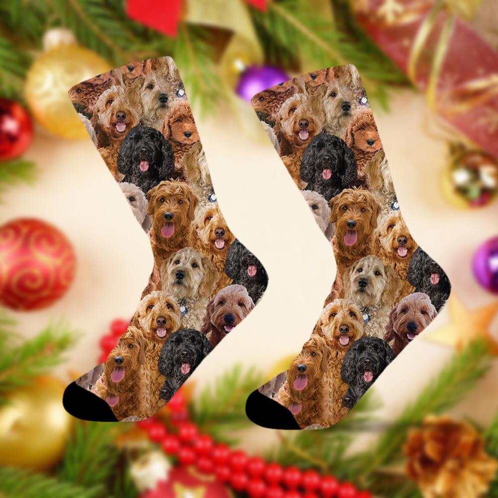 A Bunch Of Goldendoodles Socks