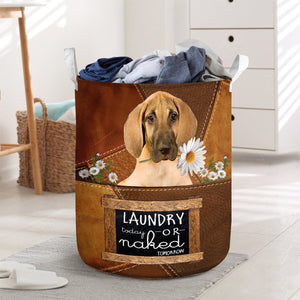 Great Dane Laundry Today Or Naked Tomorrow Laundry Basket
