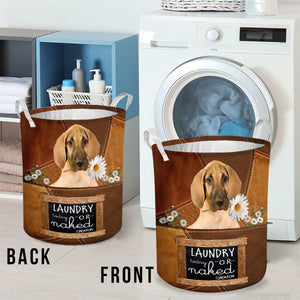 Great Dane Laundry Today Or Naked Tomorrow Laundry Basket
