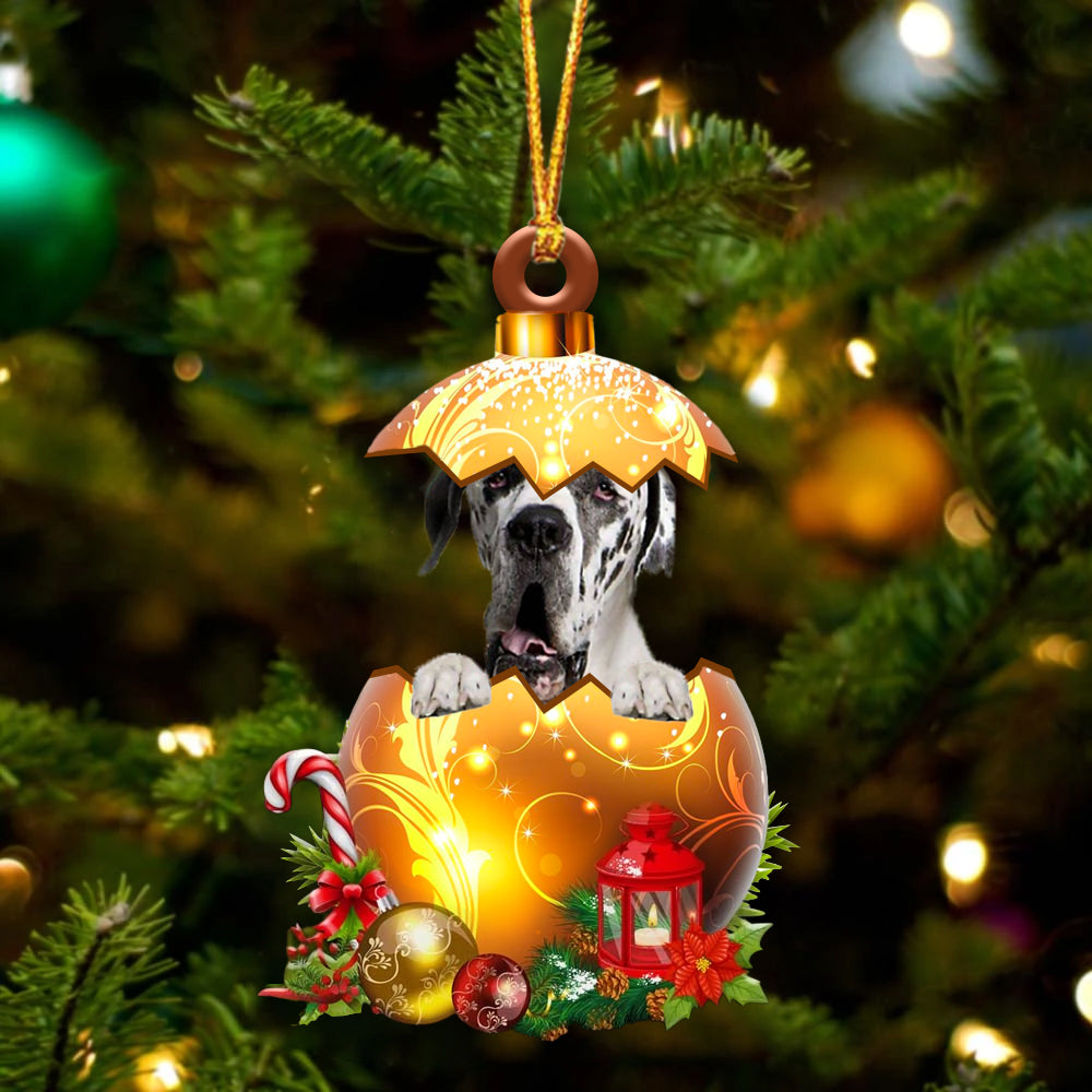 Great Dane2 In Golden Egg Christmas Ornament