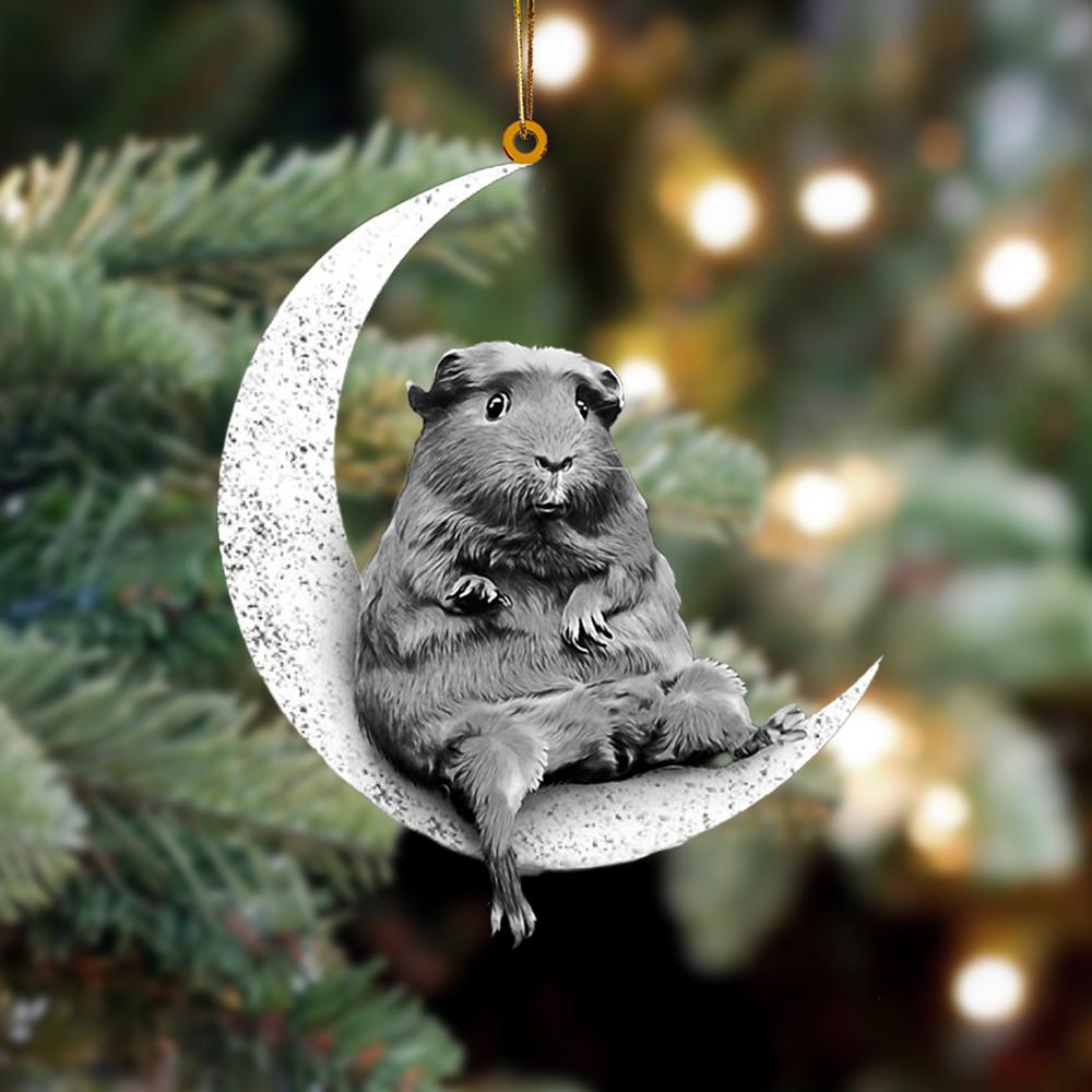 Guinea Sits On The Moon Hanging Ornament