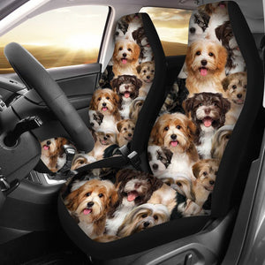A Bunch Of Havaneses Car Seat Cover