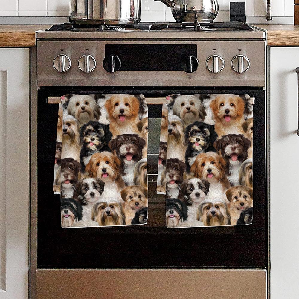A Bunch Of Havaneses Kitchen Towel