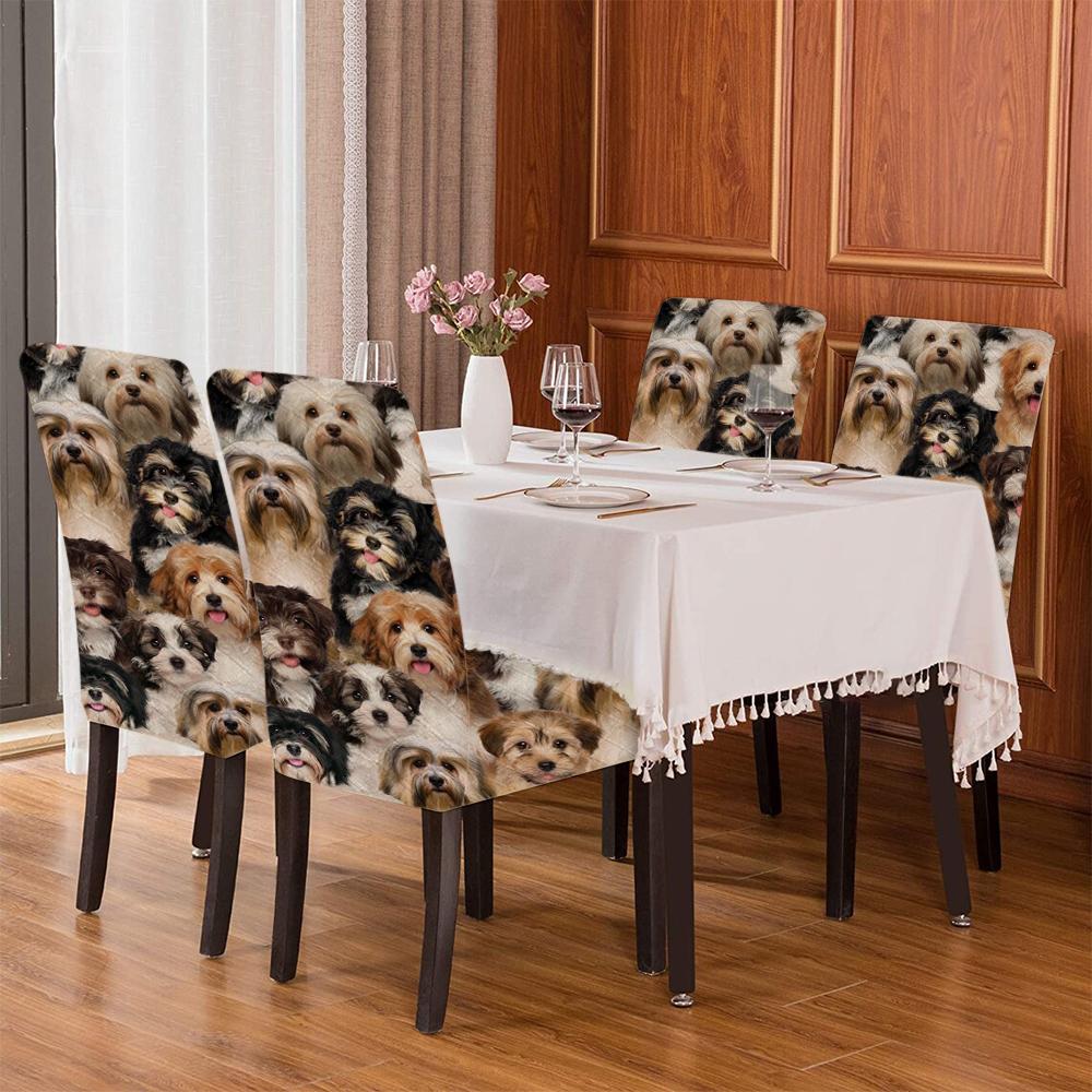 A Bunch Of Havaneses Chair Cover/Great Gift Idea For Dog Lovers