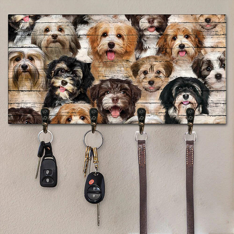 A Bunch Of Havaneses Key Hanger