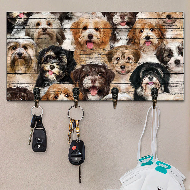 A Bunch Of Havaneses Key Hanger