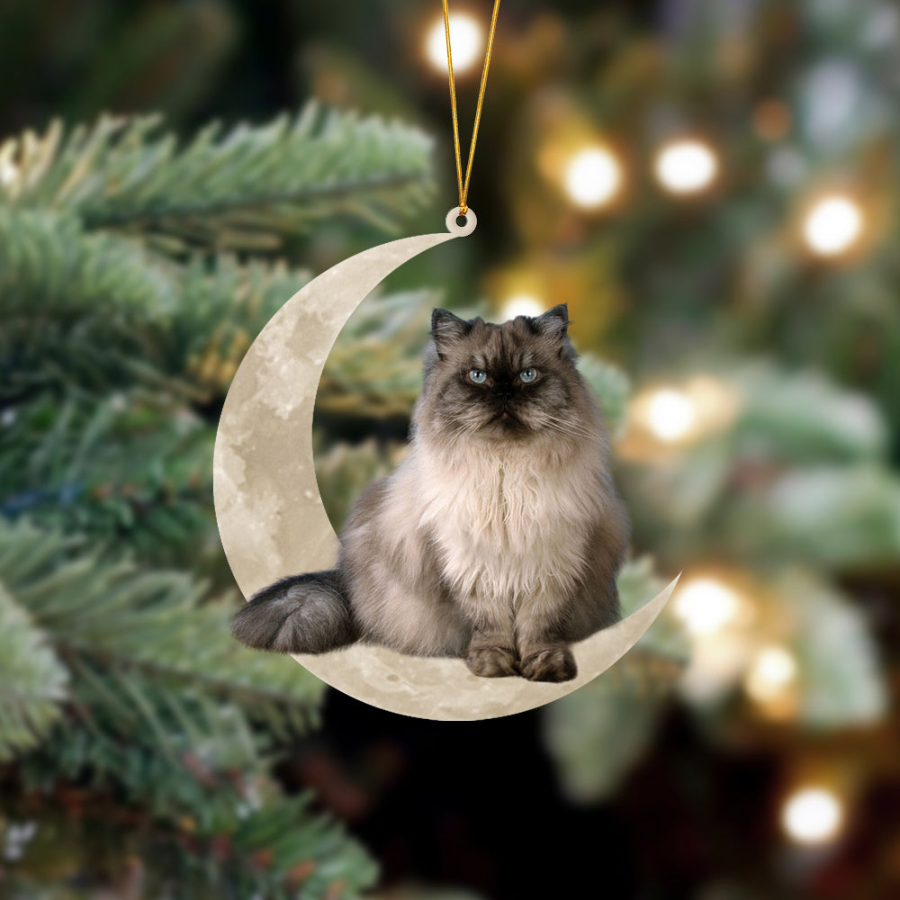 Himalayan Cat Sits On The Moon Hanging Ornament