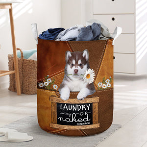 Husky2 Laundry Today Or Naked Tomorrow Laundry Basket