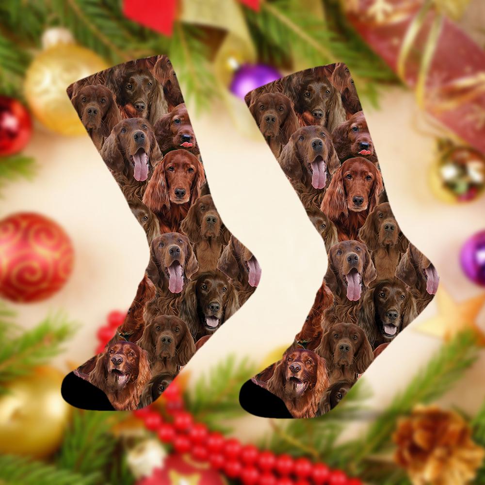 A Bunch Of Irish Setters Socks