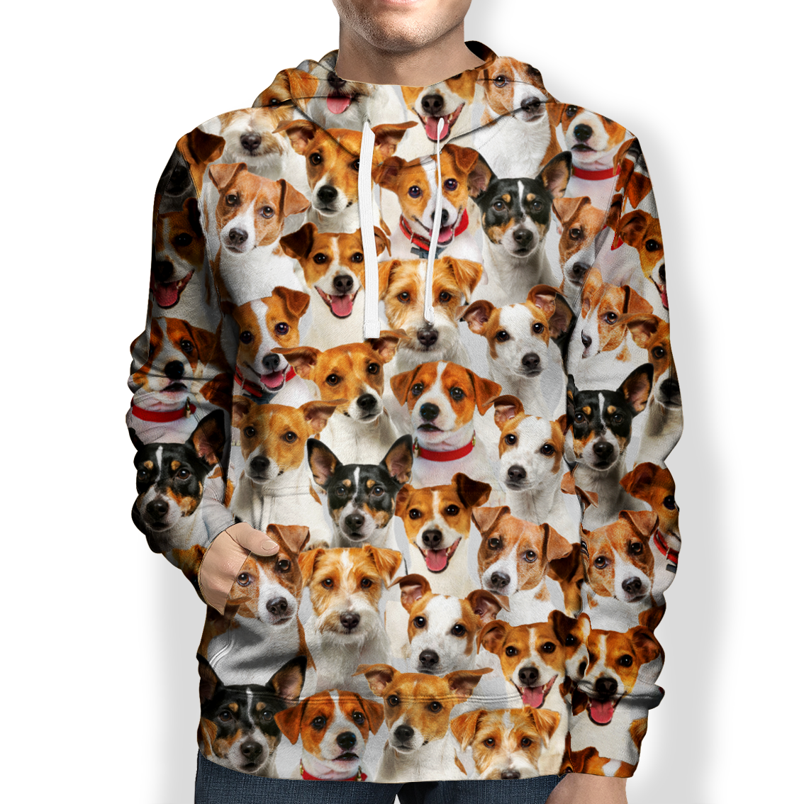 You Will Have A Bunch Of Jack Russell Terriers - Hoodie V1