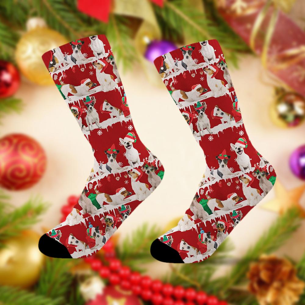 Jack Russell Terrier Merry Christmas Socks