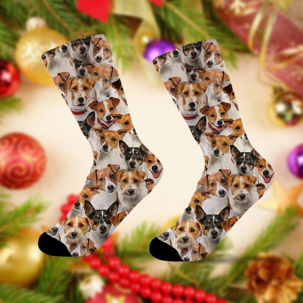 A Bunch Of Jack Russell Terriers Socks