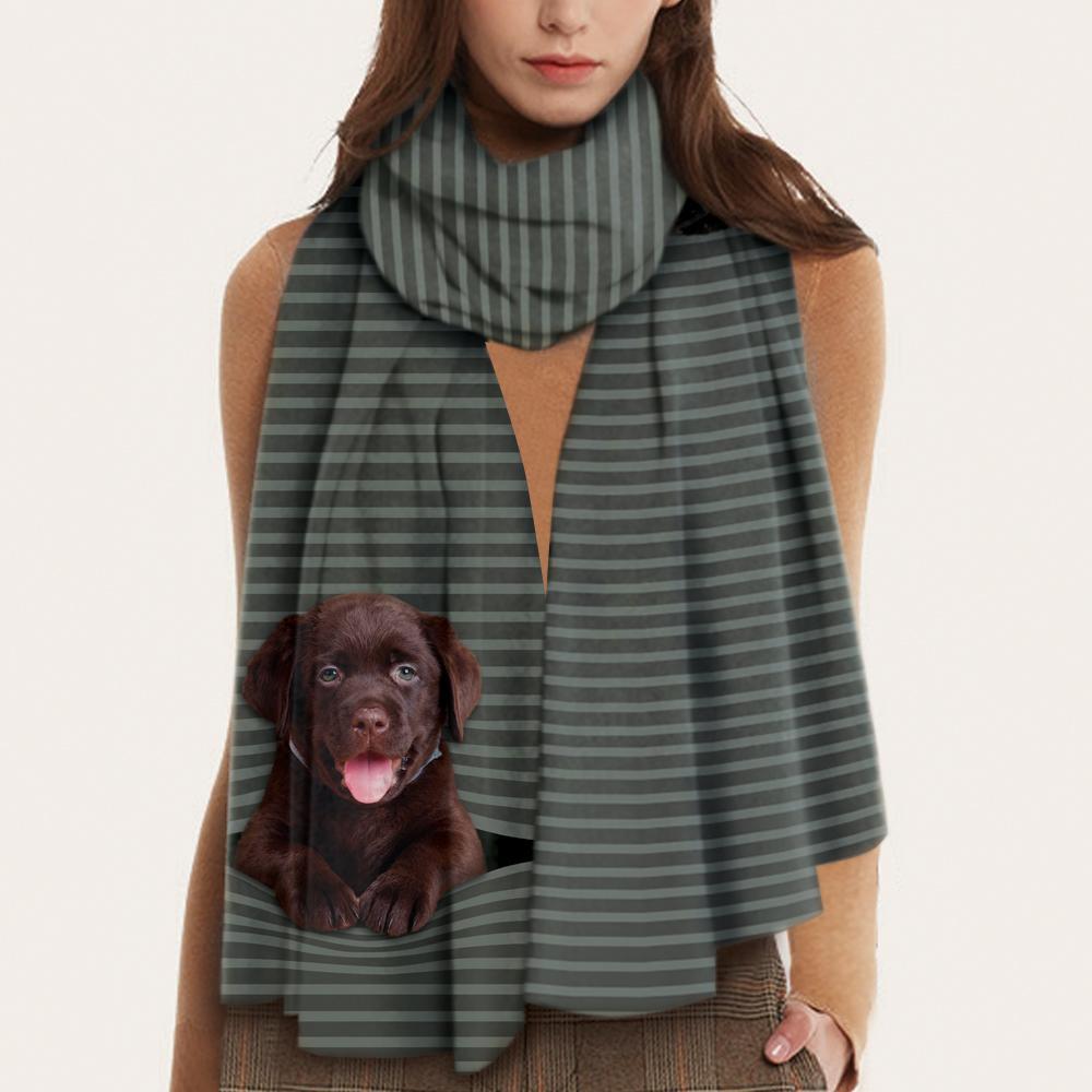 Keep You Warm - Labrador - Scarf V1
