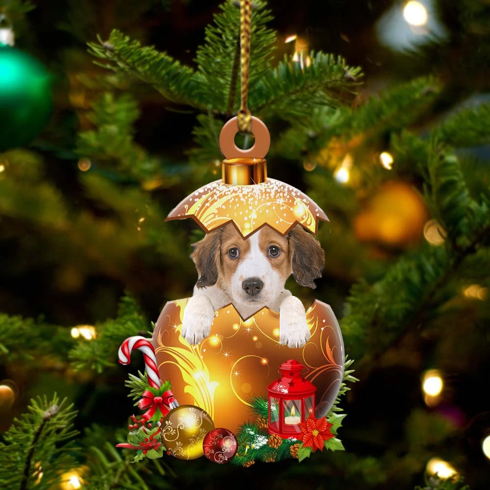 Kooikerhondje In Golden Egg Christmas Ornament