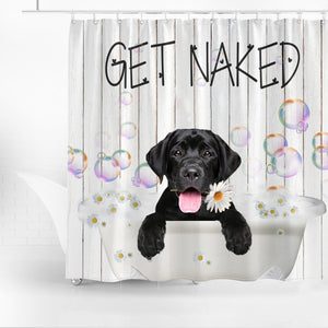 Labrador Retriever 2 Get Naked Daisy Shower Curtain
