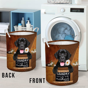Labrador Retriever 2 Laundry Today Or Naked Tomorrow Laundry Basket