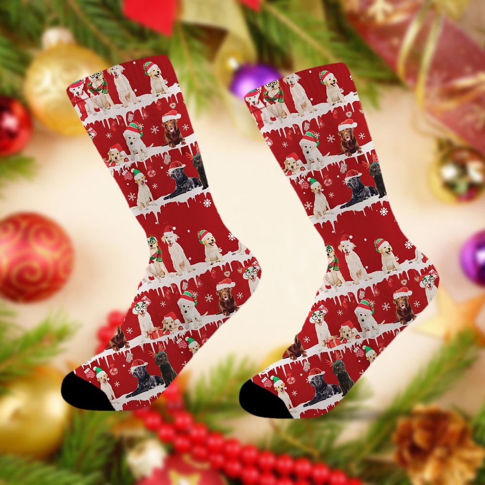 Labrador Retriever Merry Christmas Socks