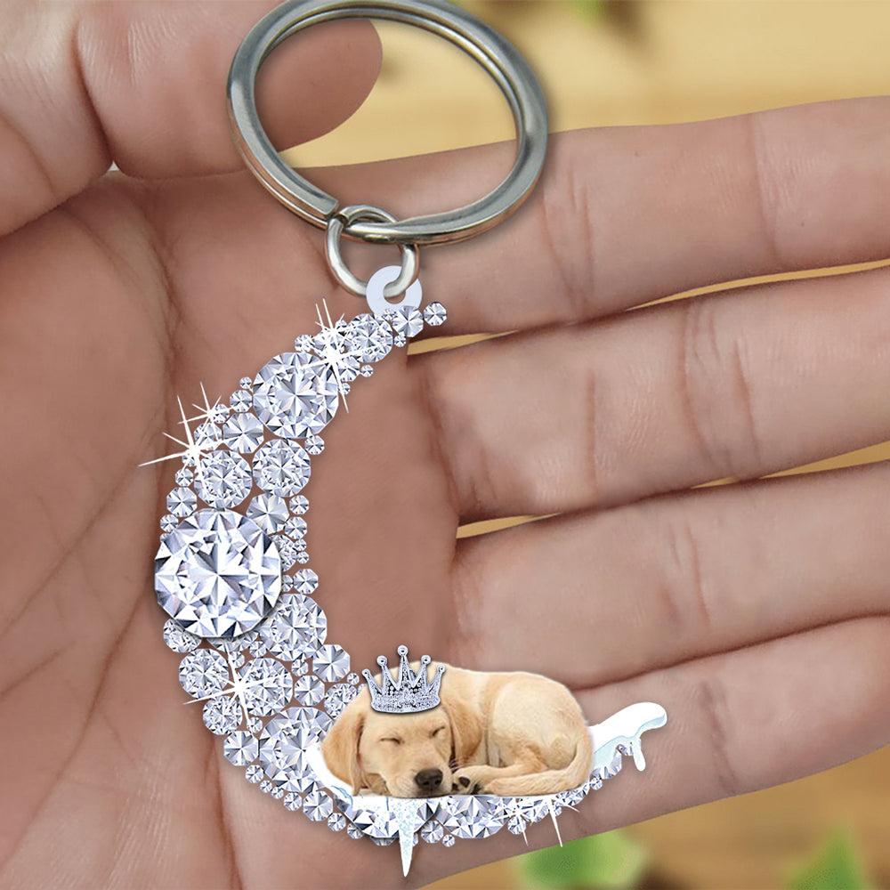Labrador retriever 2 Sleeping On A Diamond Moon Acrylic Keychain