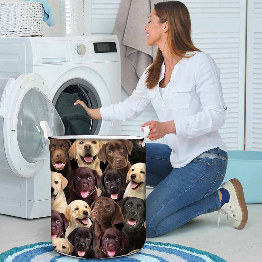 A Bunch Of Labradors Laundry Basket
