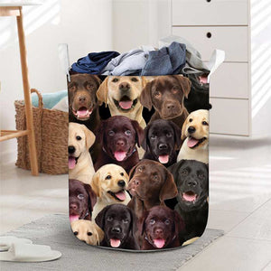 A Bunch Of Labradors Laundry Basket