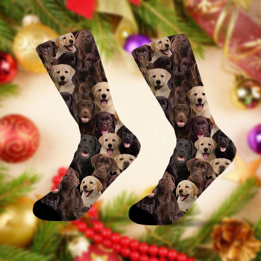 A Bunch Of Labradors Socks