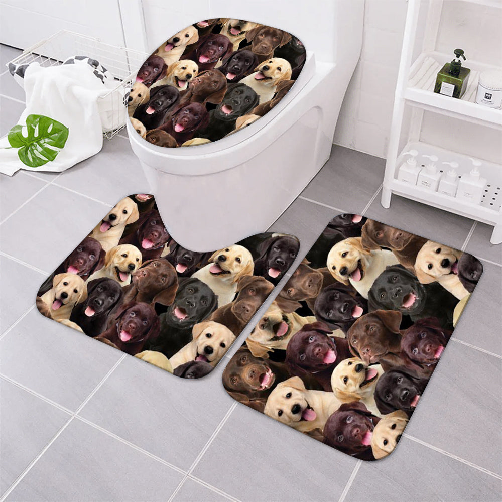 A Bunch Of Labradors Bathroom Mat Set